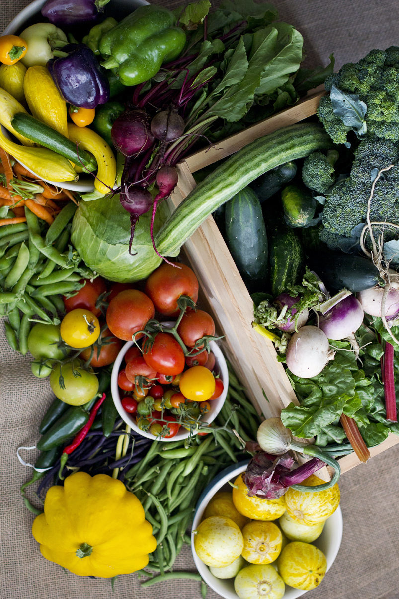 CSA BOX simple life by keys