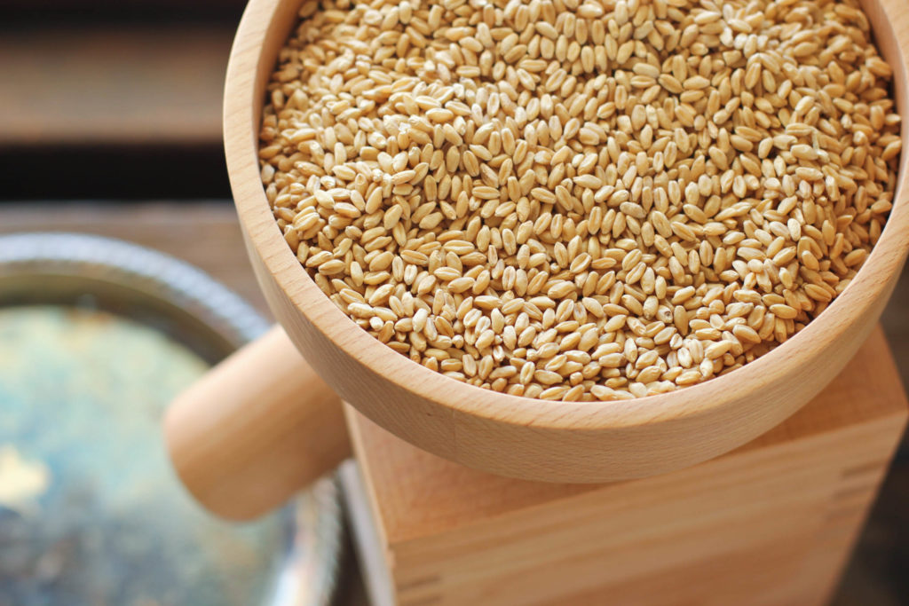 komo grain mill simple life by kels
